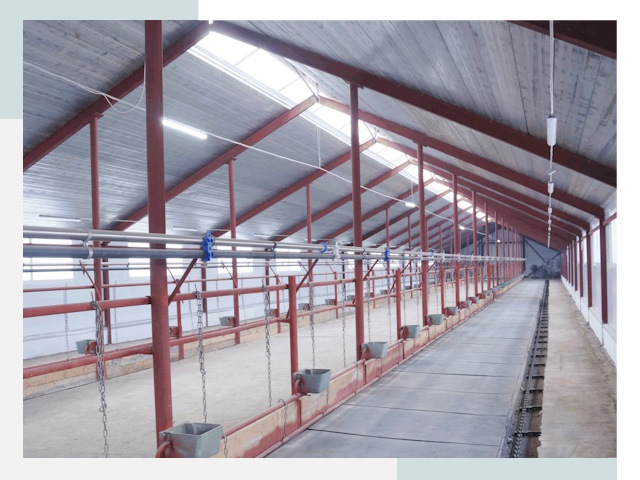 Строительство коровников в Снежинске от 624 руб.