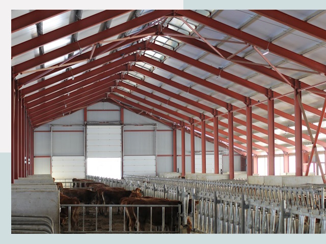 Строительство коровников в Снежинске