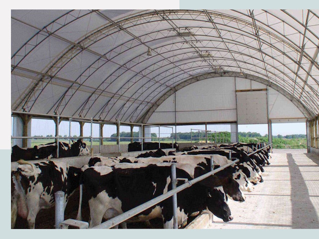 Тентовые коровники в Снежинске